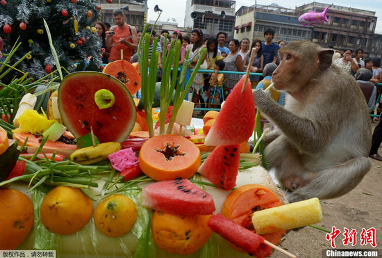 泰国举行“猴子自助餐节” 馋嘴猴享2吨美食