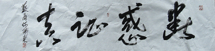 何卫东书法匾额 - 宿迁搜盈园林绿化 - 捜盈特种缝纫机