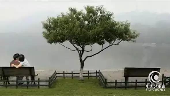 西湖边的一棵树
