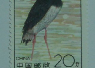 1992年鹳 1992-2