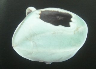 南宋  龙泉窑青瓷橄榄形鸟食罐
