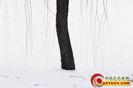 【经典】李少白经典摄影作品解密