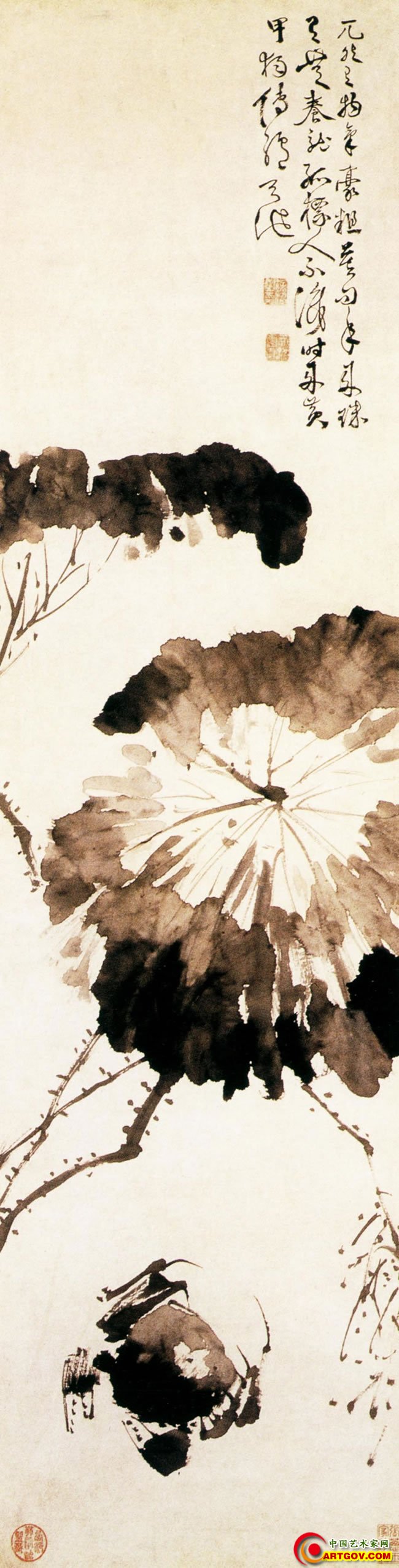 黄甲图